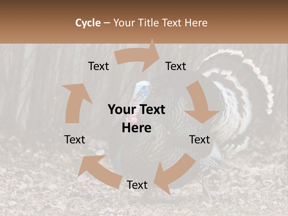 Portrait Single White PowerPoint Template