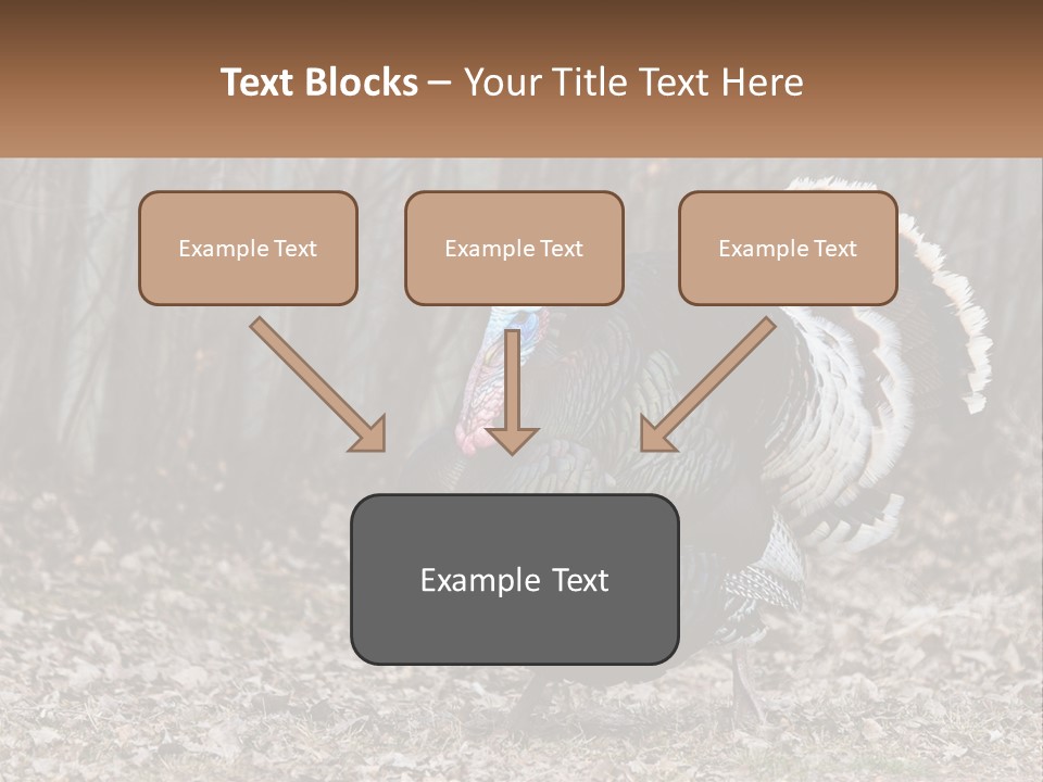 Portrait Single White PowerPoint Template