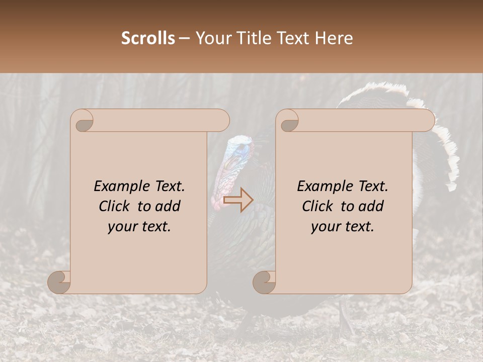 Portrait Single White PowerPoint Template