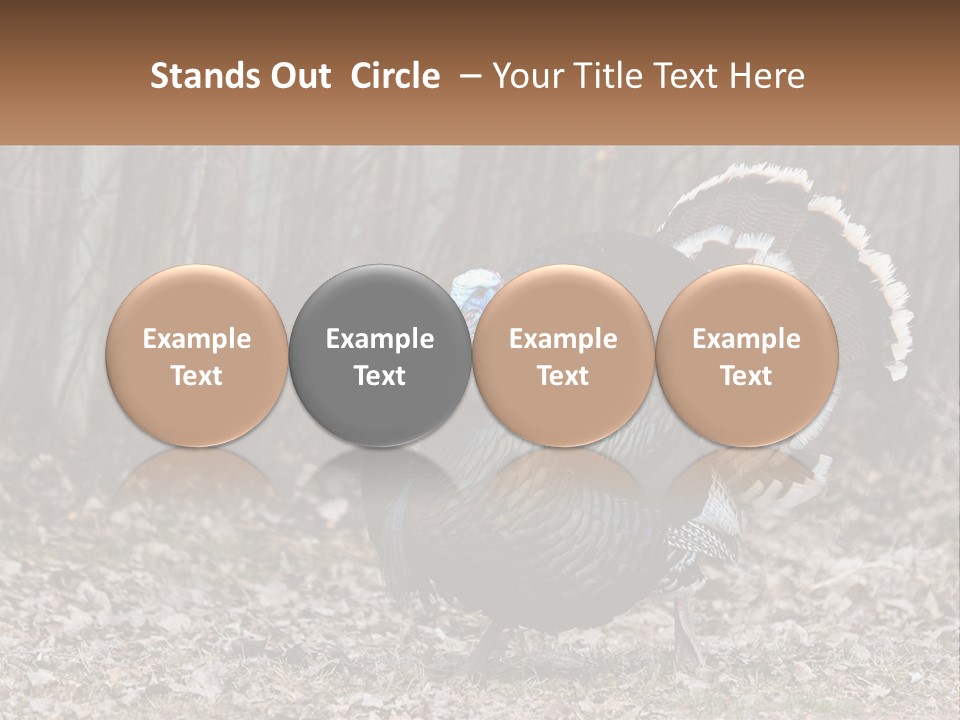 Portrait Single White PowerPoint Template