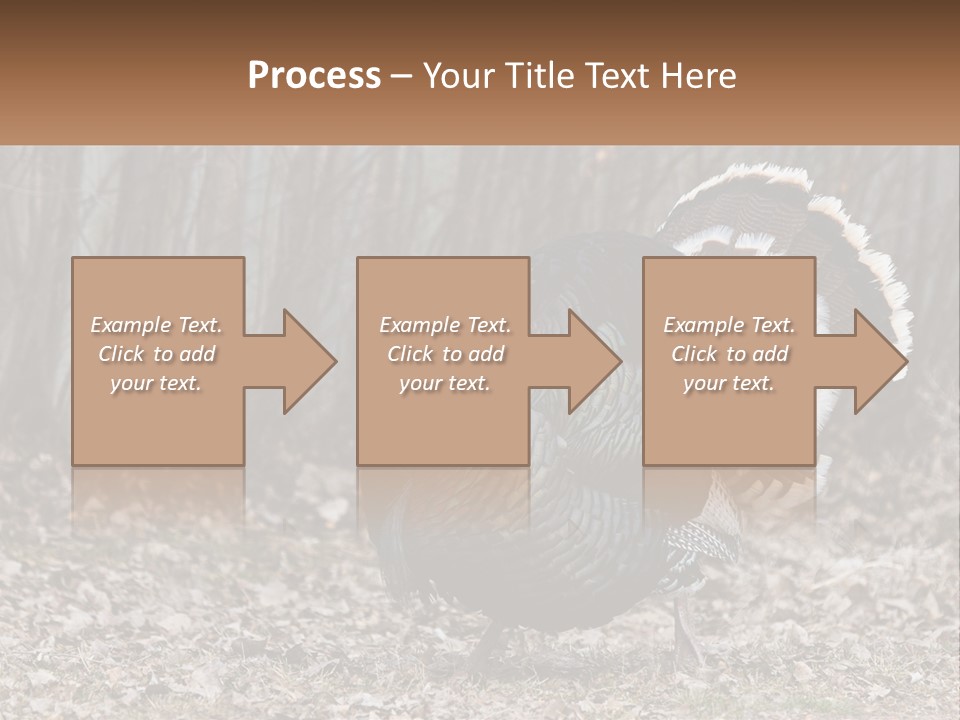 Portrait Single White PowerPoint Template