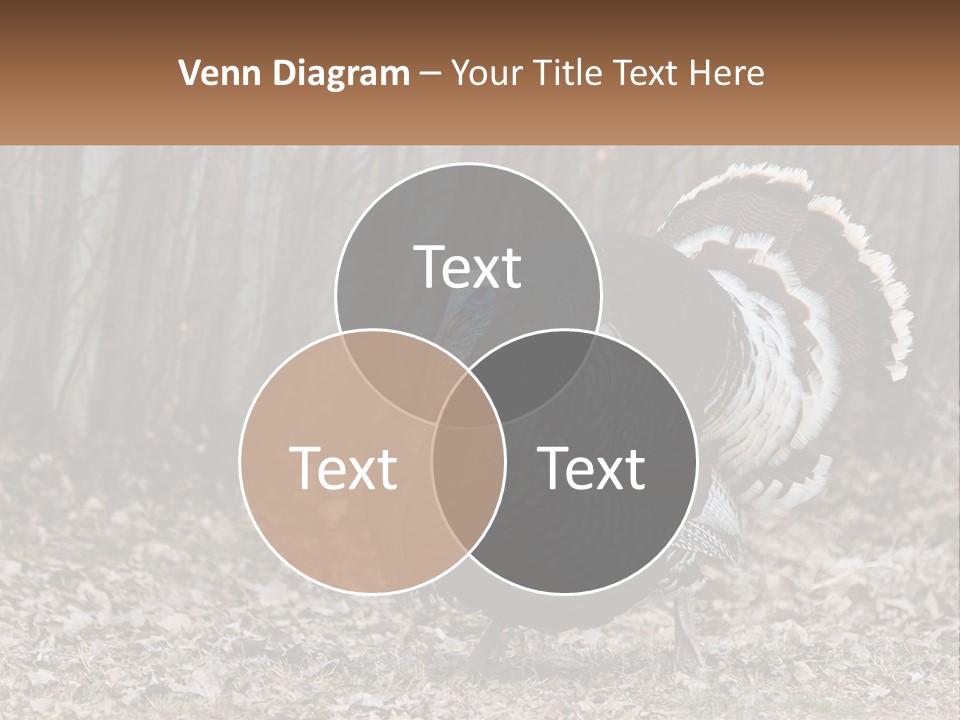 Portrait Single White PowerPoint Template