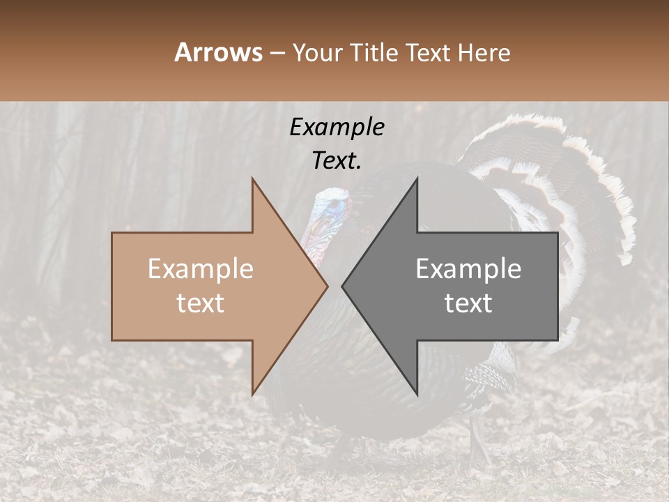 Portrait Single White PowerPoint Template