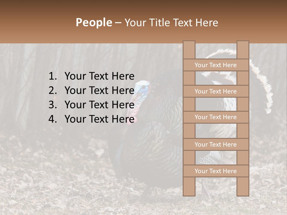 Portrait Single White PowerPoint Template