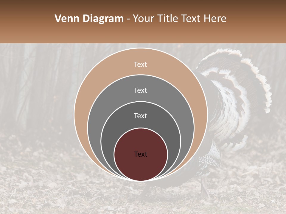 Portrait Single White PowerPoint Template