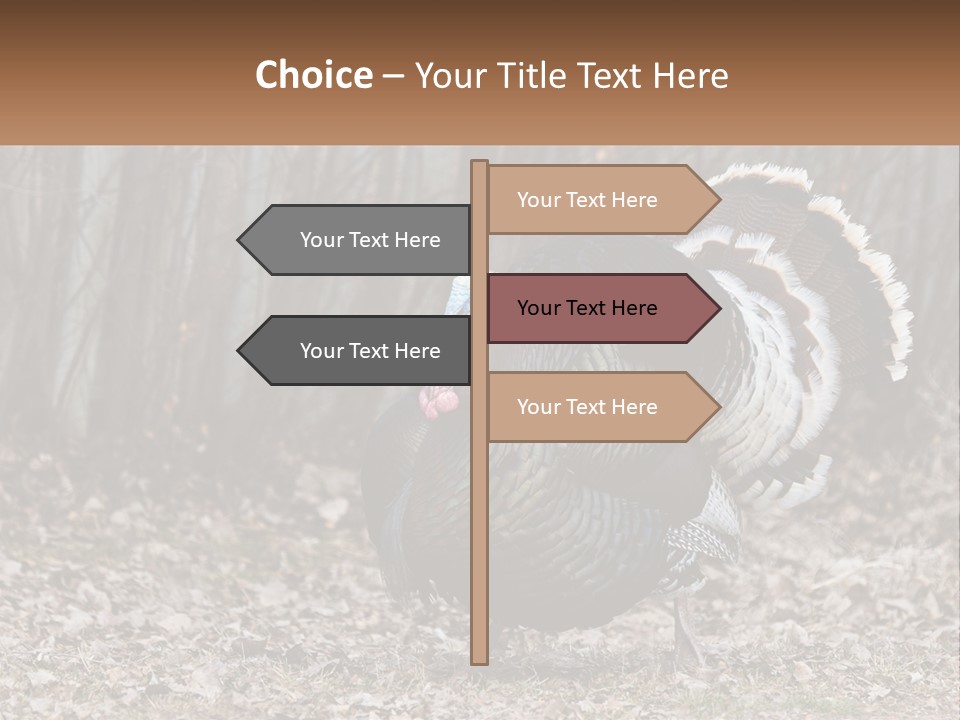 Portrait Single White PowerPoint Template