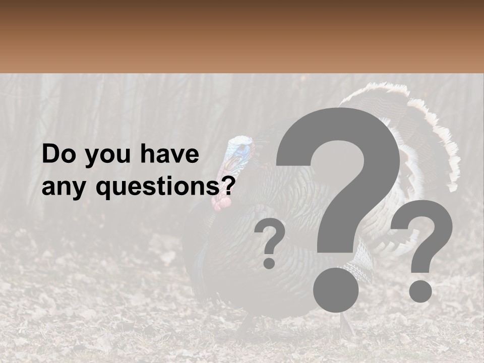 Portrait Single White PowerPoint Template