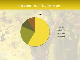 Mother Sea Calm PowerPoint Template