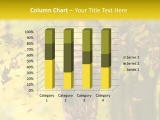 Mother Sea Calm PowerPoint Template
