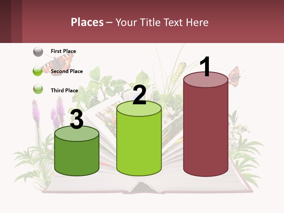 Mother Senior Beach PowerPoint Template