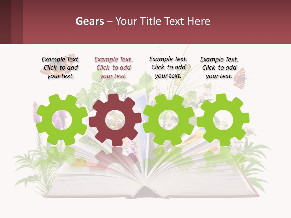 Mother Senior Beach PowerPoint Template