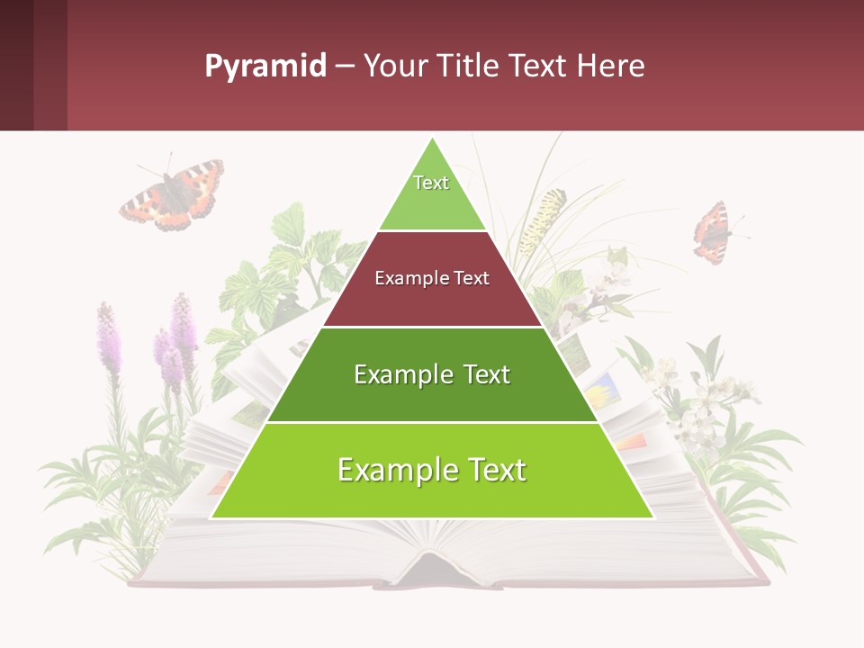 Mother Senior Beach PowerPoint Template