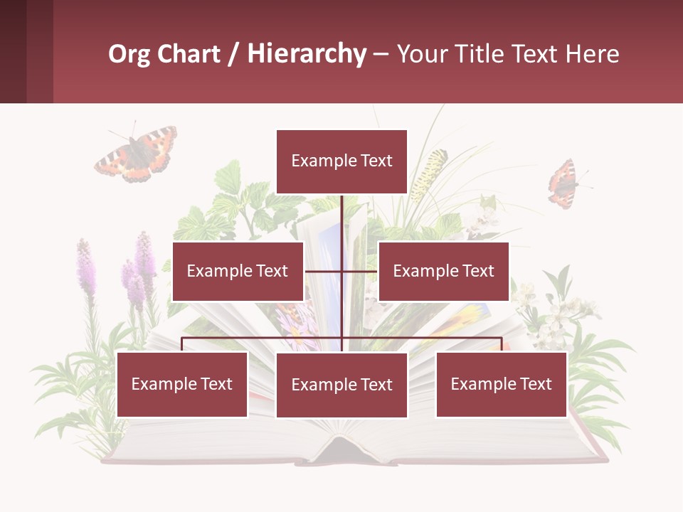 Mother Senior Beach PowerPoint Template