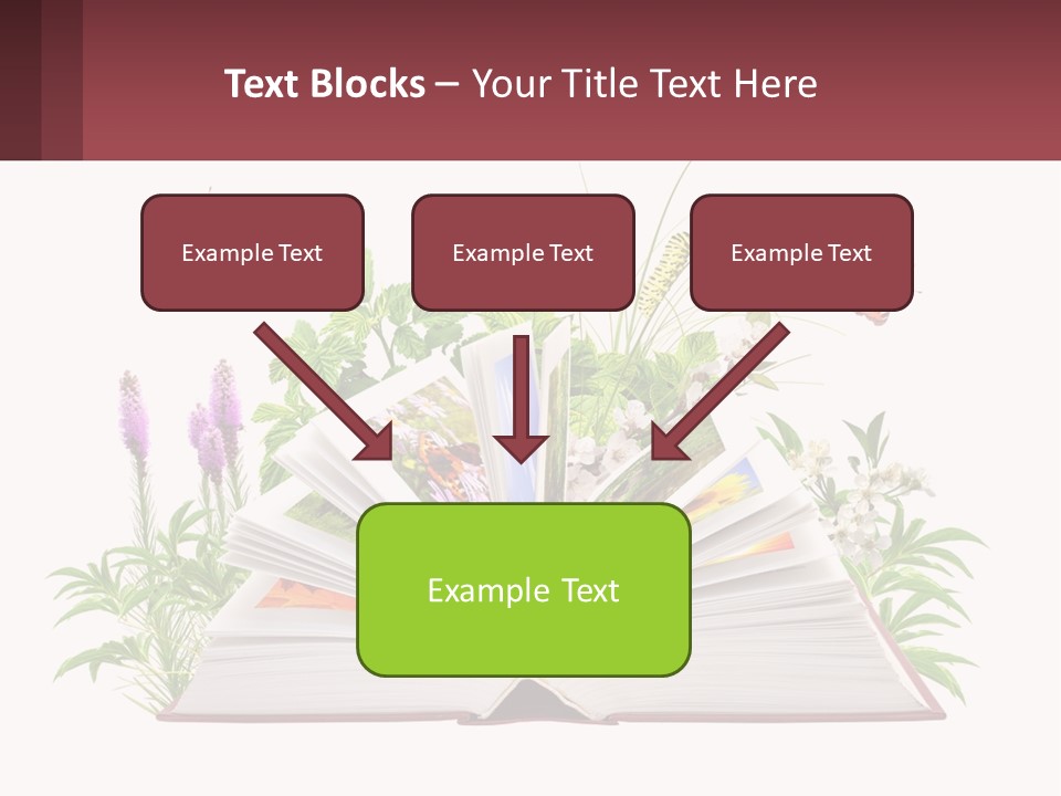 Mother Senior Beach PowerPoint Template