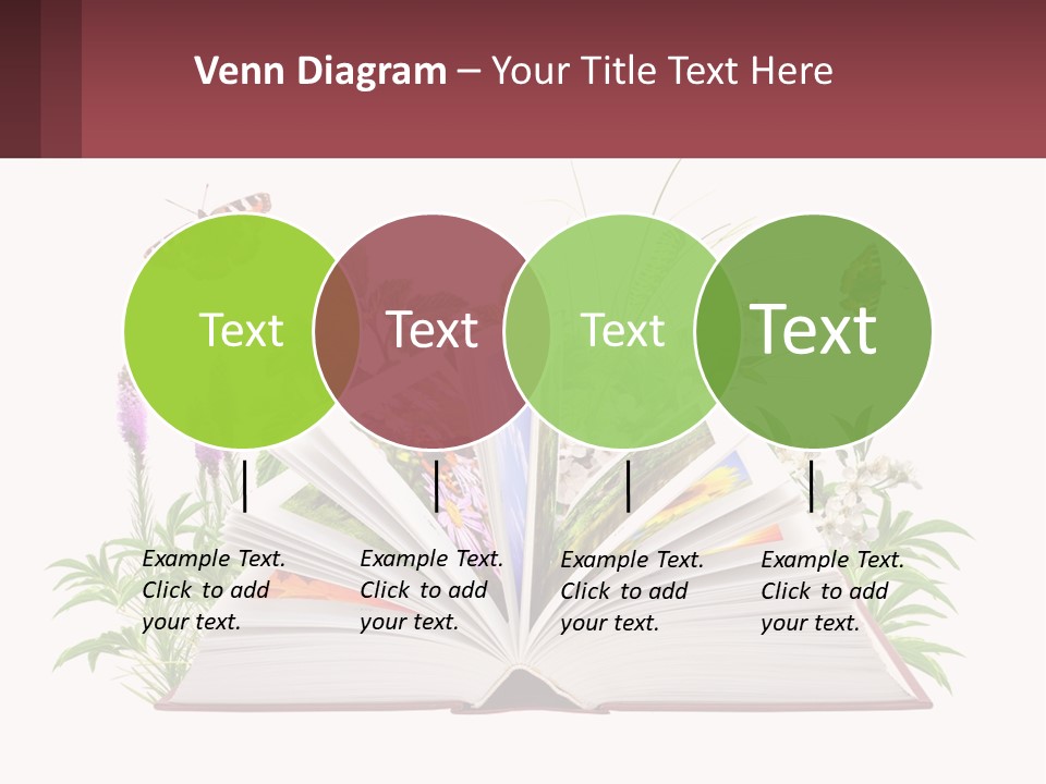 Mother Senior Beach PowerPoint Template