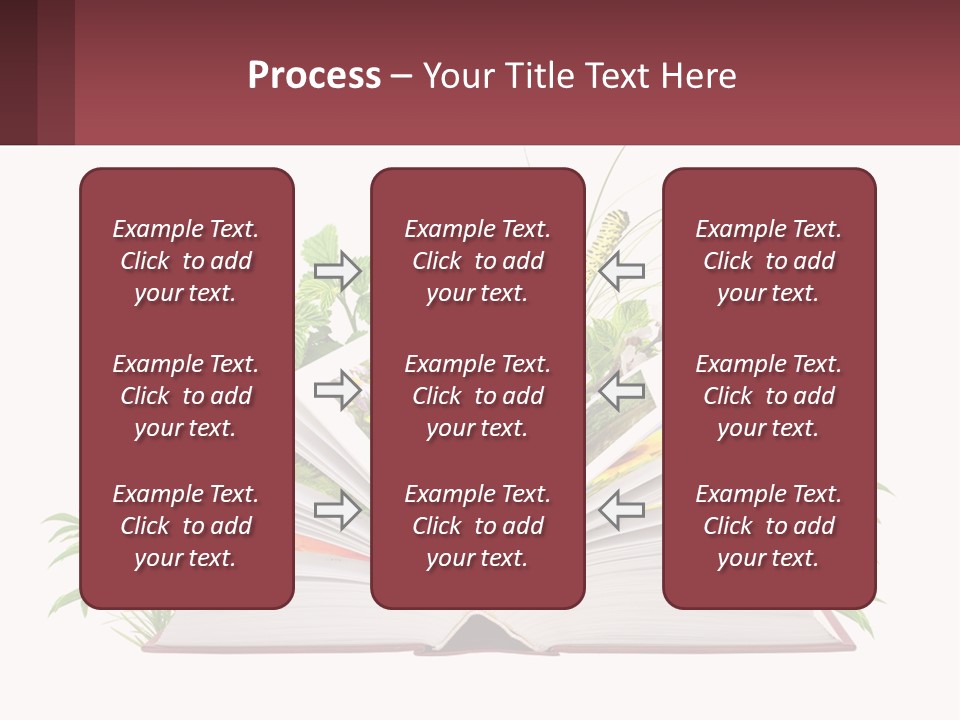 Mother Senior Beach PowerPoint Template