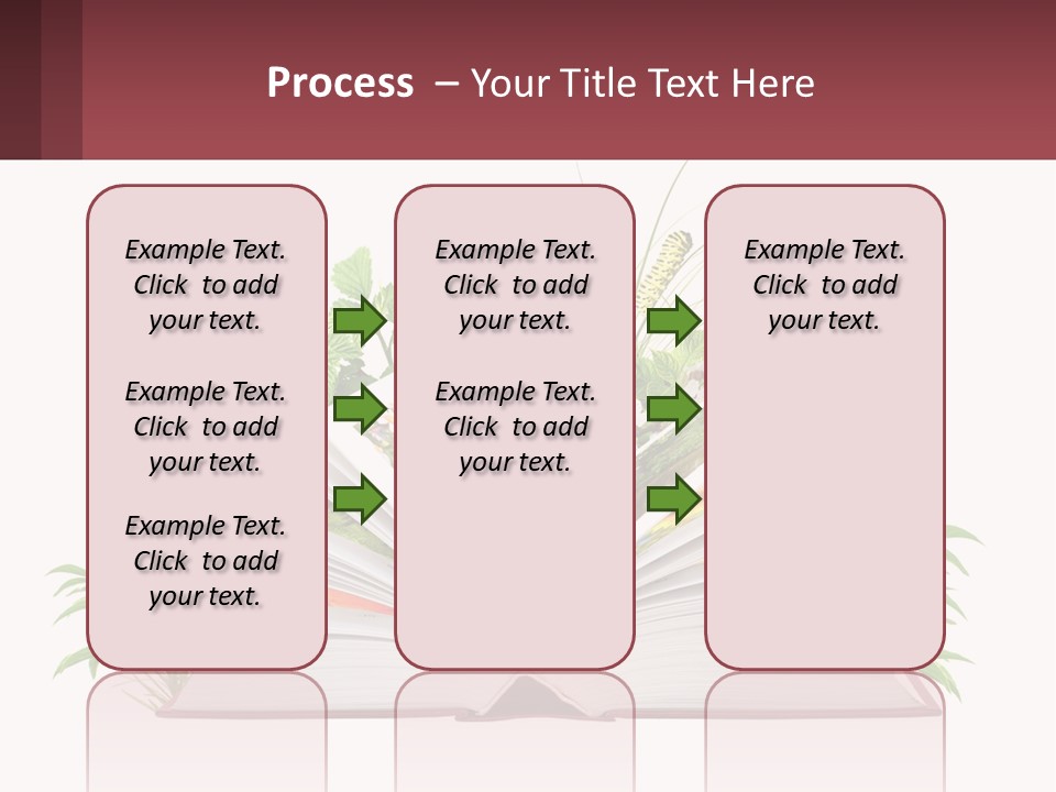 Mother Senior Beach PowerPoint Template