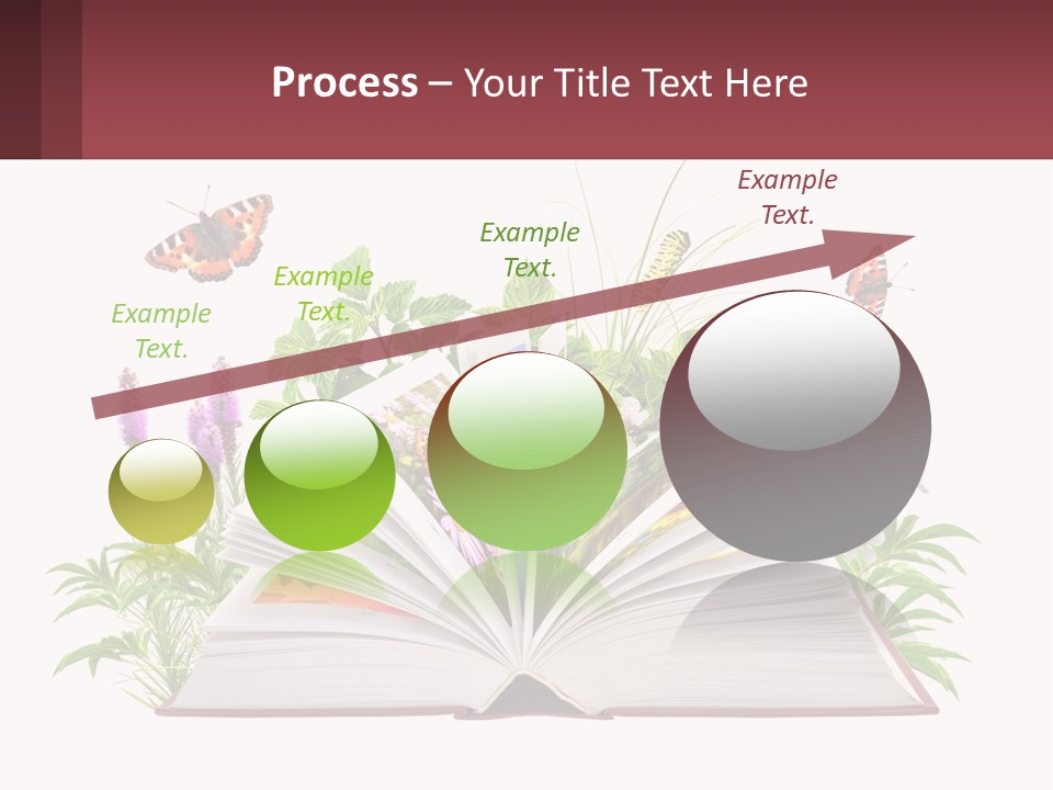 Mother Senior Beach PowerPoint Template