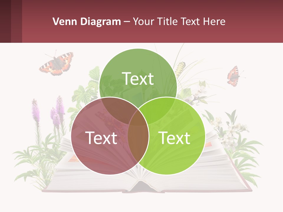 Mother Senior Beach PowerPoint Template