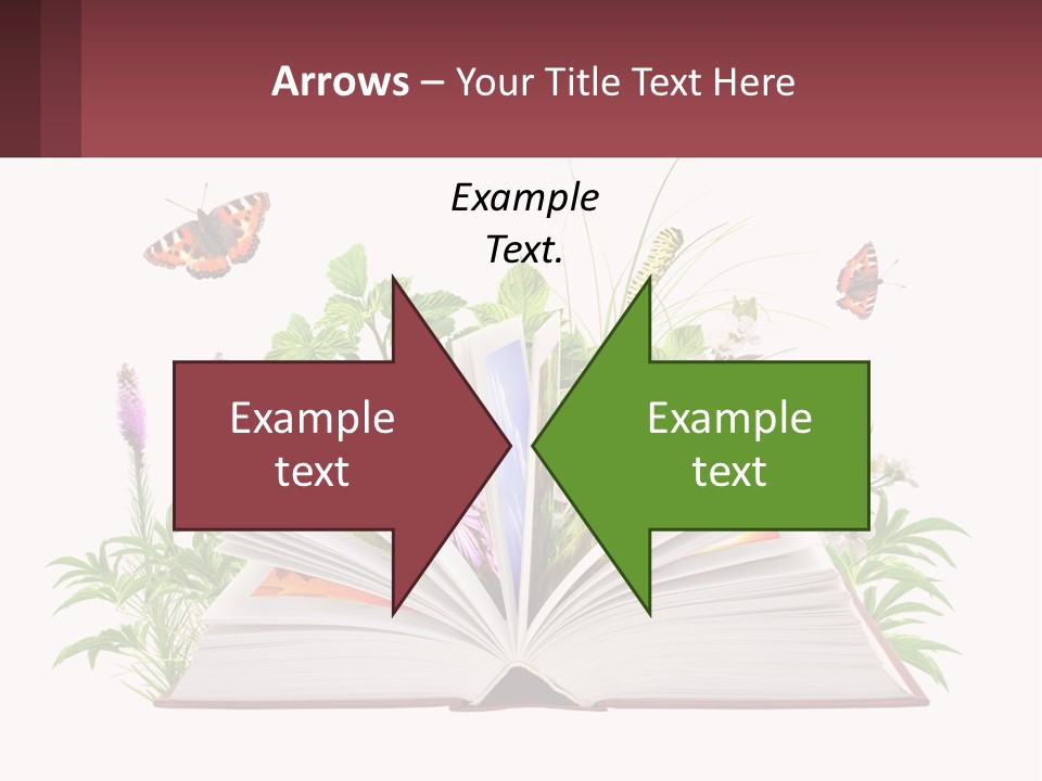 Mother Senior Beach PowerPoint Template