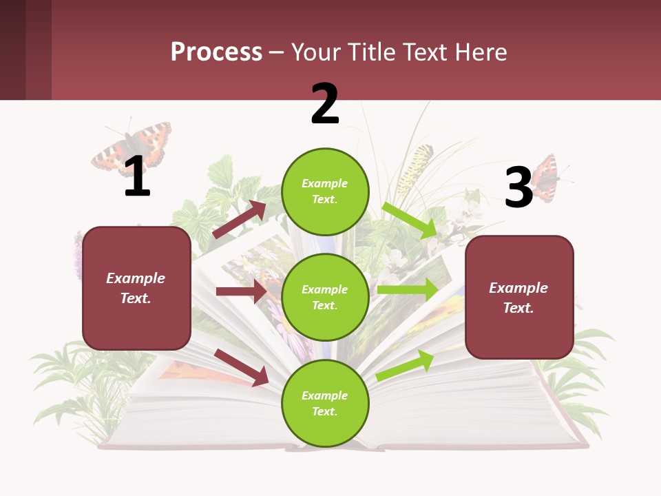 Mother Senior Beach PowerPoint Template