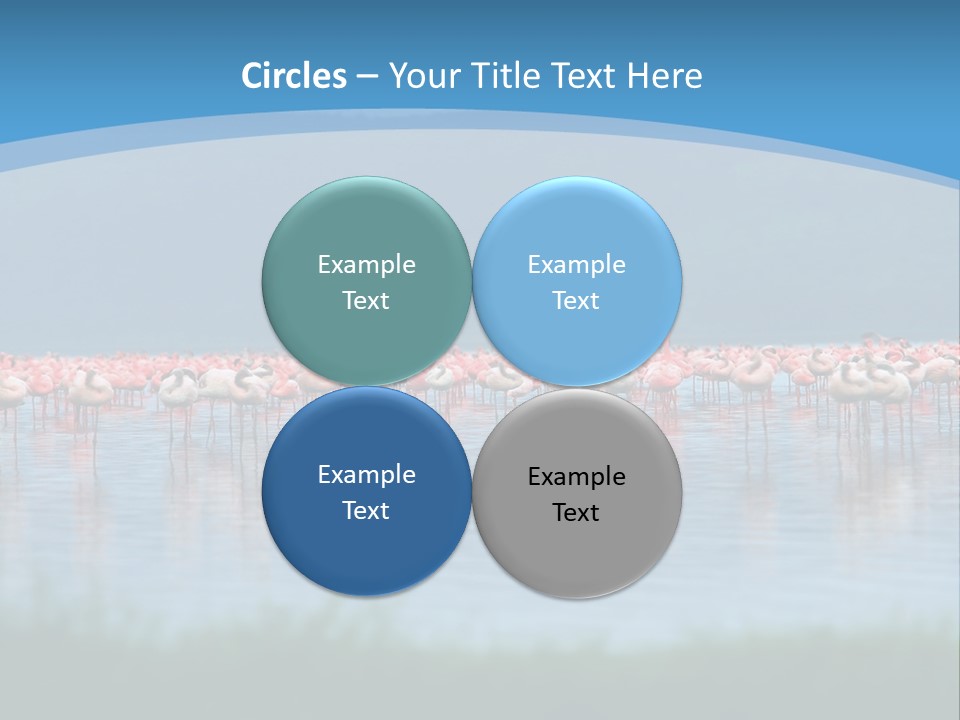 Lifestyle Coast Beach PowerPoint Template