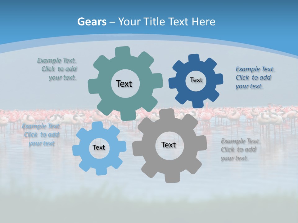 Lifestyle Coast Beach PowerPoint Template