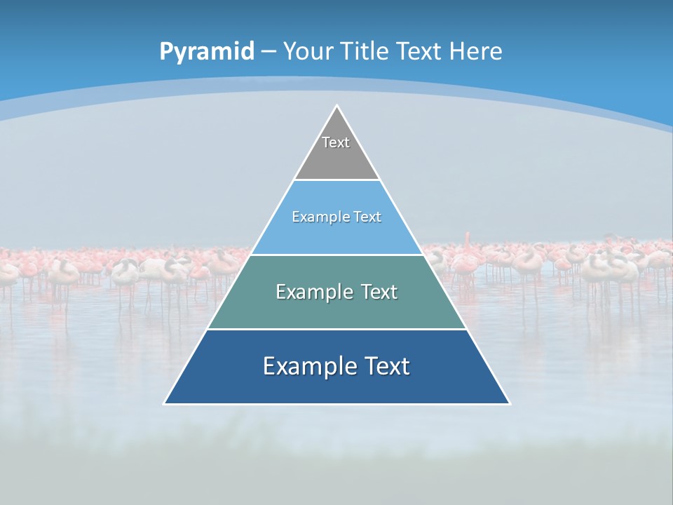 Lifestyle Coast Beach PowerPoint Template