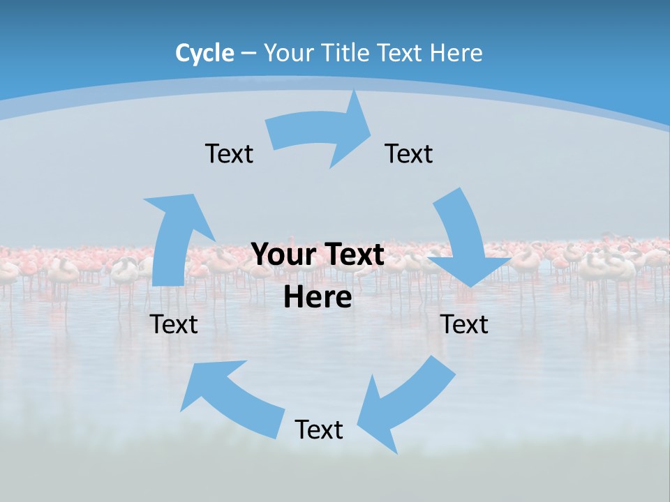 Lifestyle Coast Beach PowerPoint Template