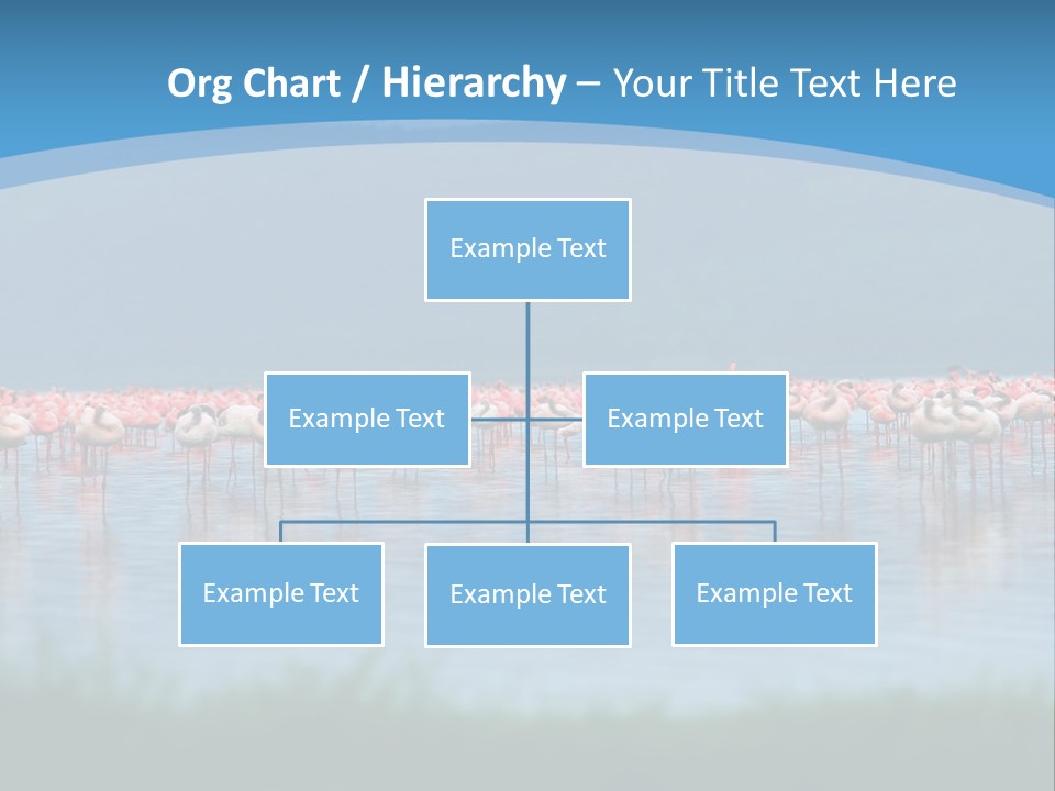 Lifestyle Coast Beach PowerPoint Template