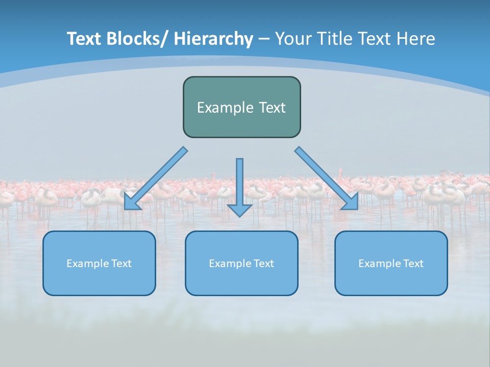 Lifestyle Coast Beach PowerPoint Template