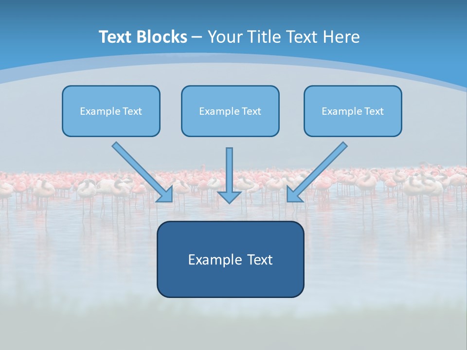 Lifestyle Coast Beach PowerPoint Template