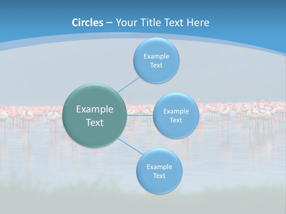 Lifestyle Coast Beach PowerPoint Template