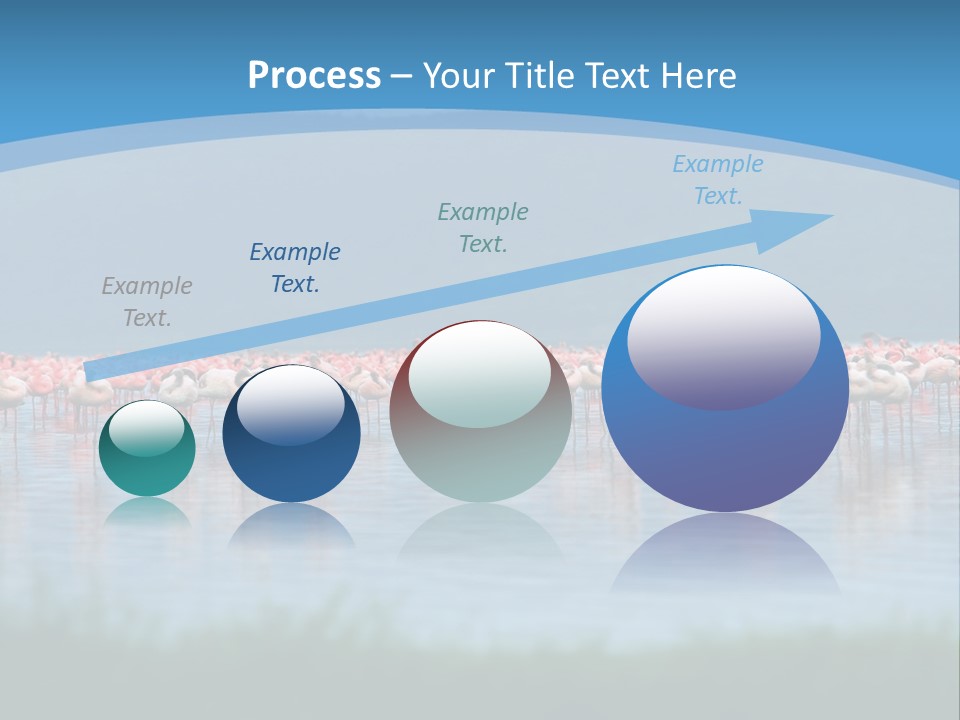 Lifestyle Coast Beach PowerPoint Template