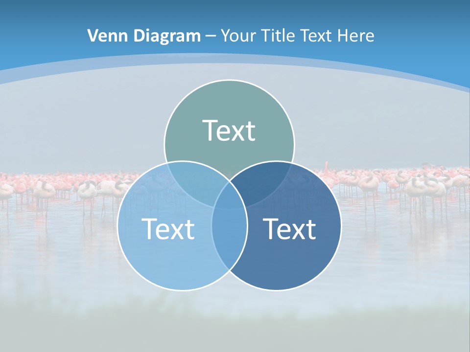 Lifestyle Coast Beach PowerPoint Template