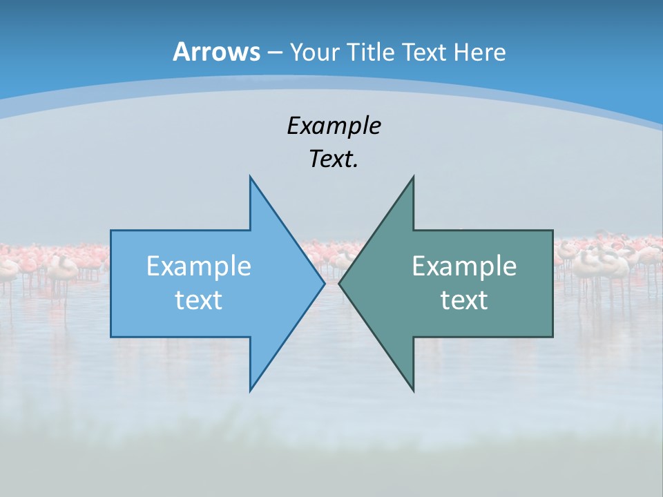 Lifestyle Coast Beach PowerPoint Template