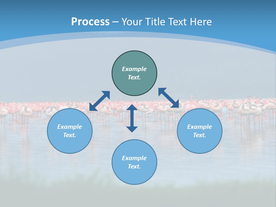 Lifestyle Coast Beach PowerPoint Template