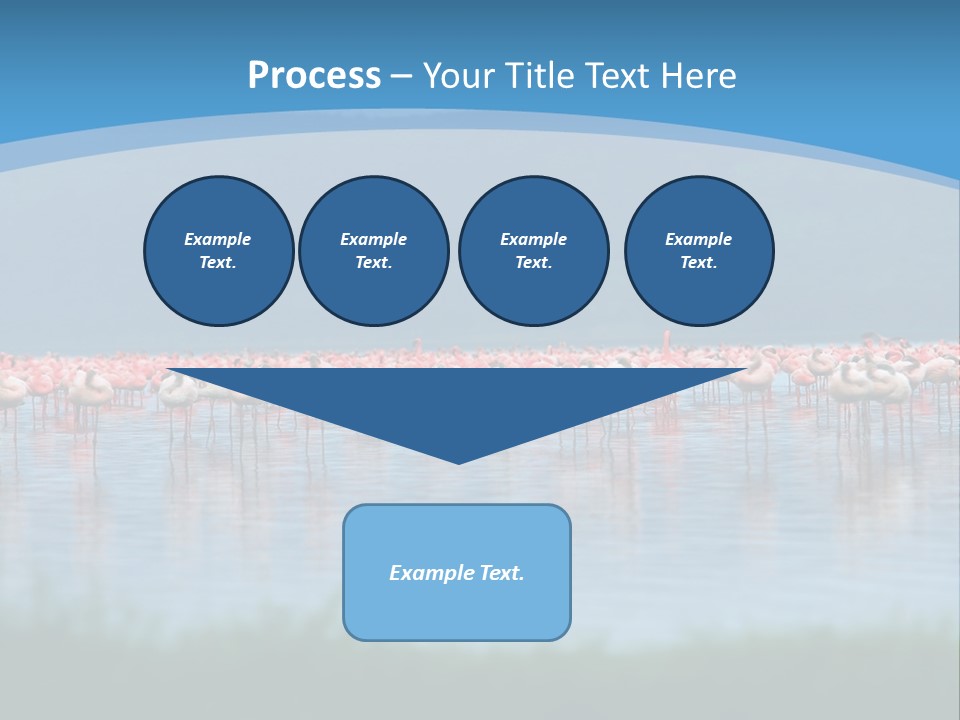 Lifestyle Coast Beach PowerPoint Template
