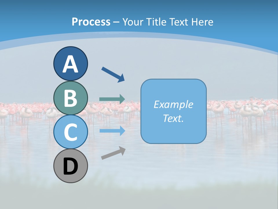 Lifestyle Coast Beach PowerPoint Template