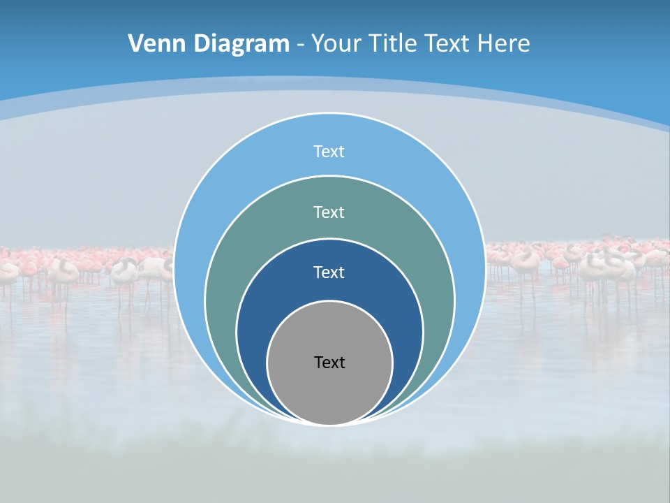 Lifestyle Coast Beach PowerPoint Template