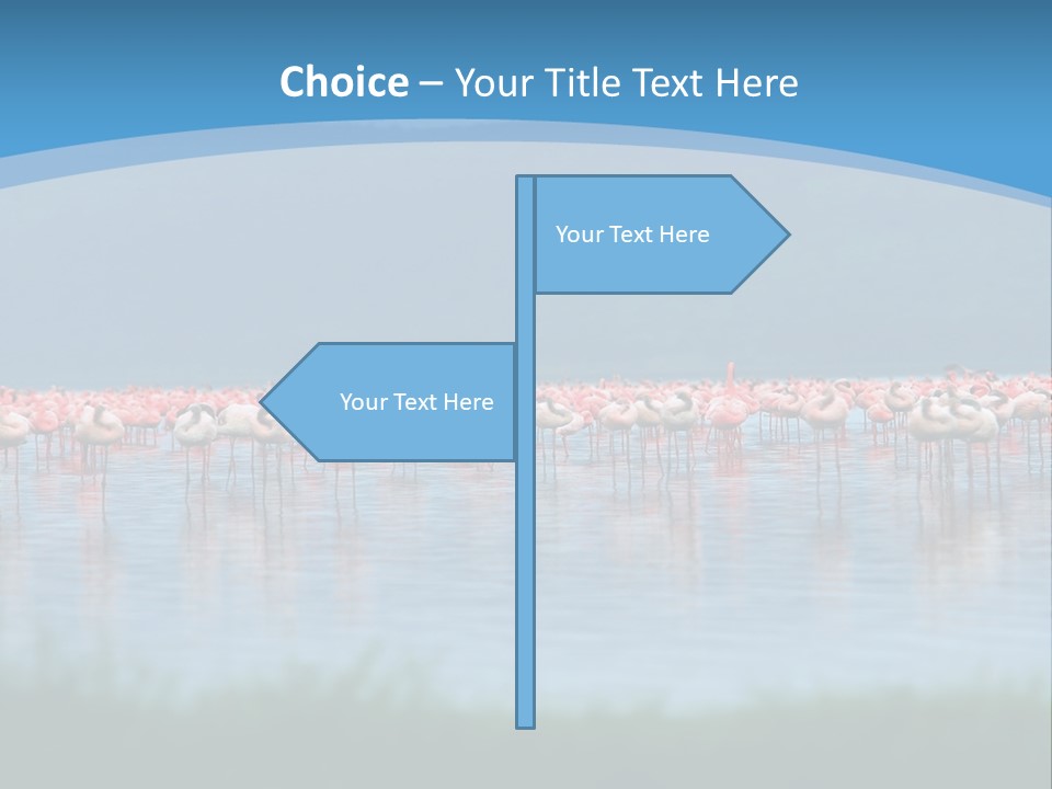 Lifestyle Coast Beach PowerPoint Template