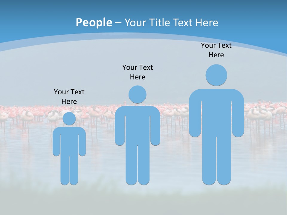 Lifestyle Coast Beach PowerPoint Template