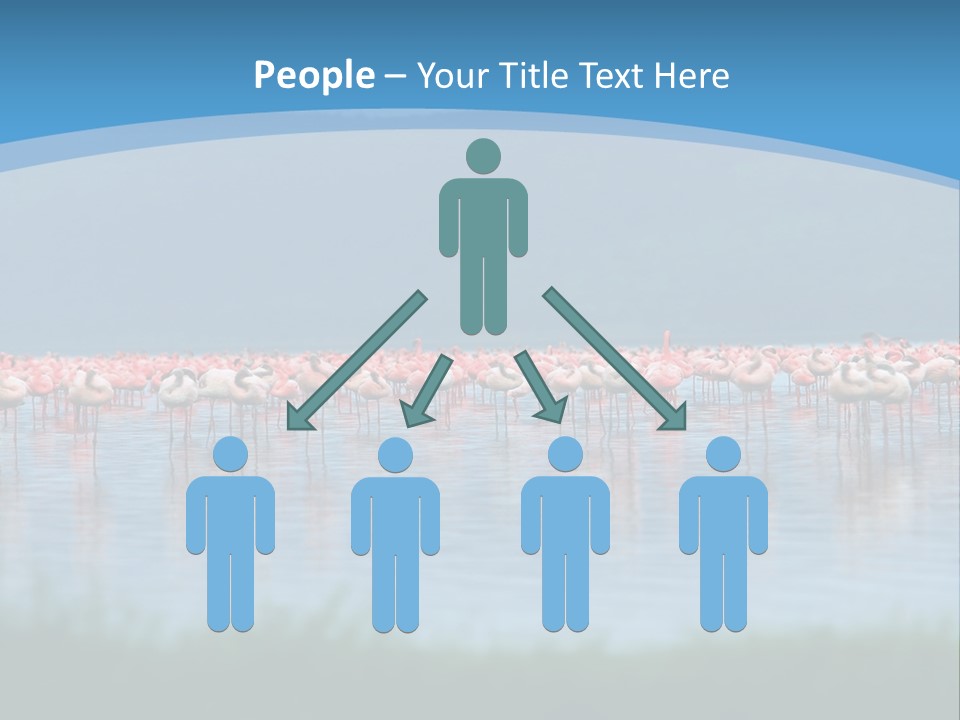 Lifestyle Coast Beach PowerPoint Template