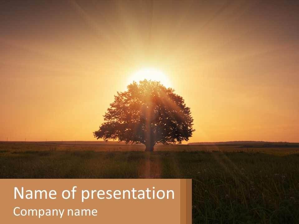 Coast Older Sad PowerPoint Template