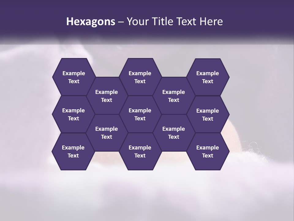 Family Coastal Sea PowerPoint Template