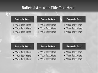 Wellness Senior Mother PowerPoint Template