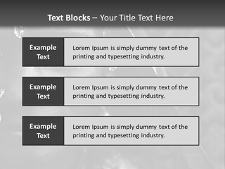 Wellness Senior Mother PowerPoint Template