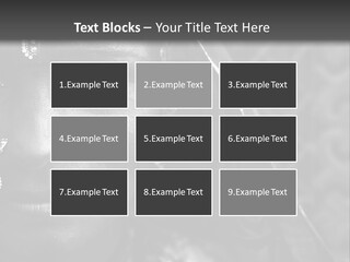 Wellness Senior Mother PowerPoint Template