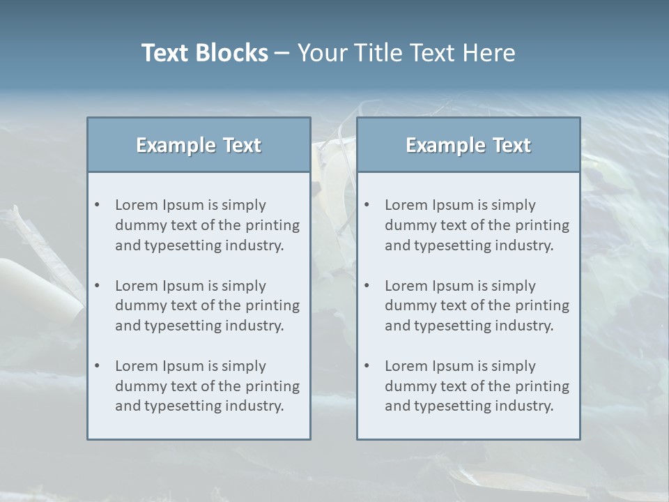 Ocean Single Mother PowerPoint Template