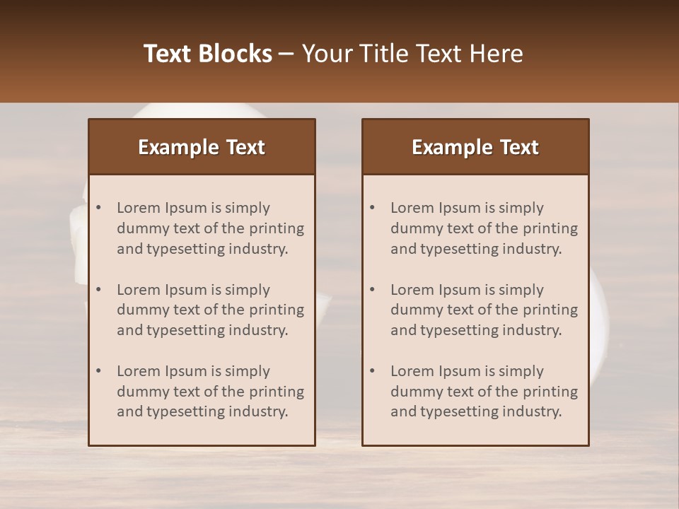 Mother Pensioner Single PowerPoint Template